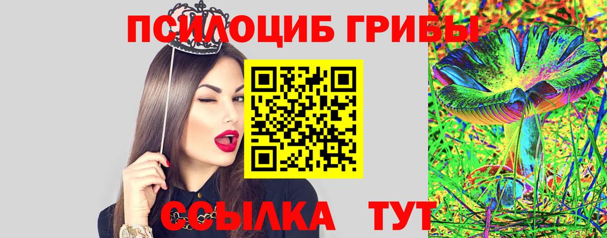 Галлюциногенные грибы Cubensis Сокол